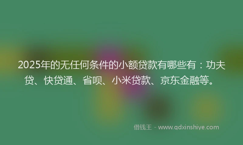 2025年的无任何条件的小额贷款有哪些有：功夫贷、快贷通、省呗、小米贷款、京东金融等。