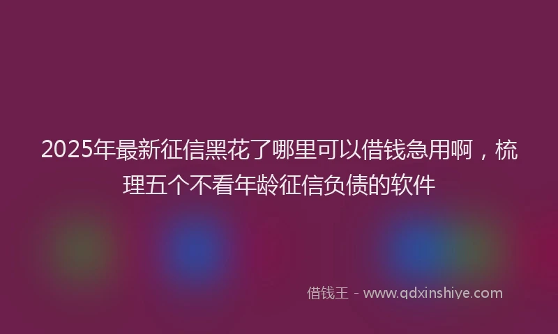 2025年最新征信黑花了哪里可以借钱急用啊，梳理五个不看年龄征信负债的软件
