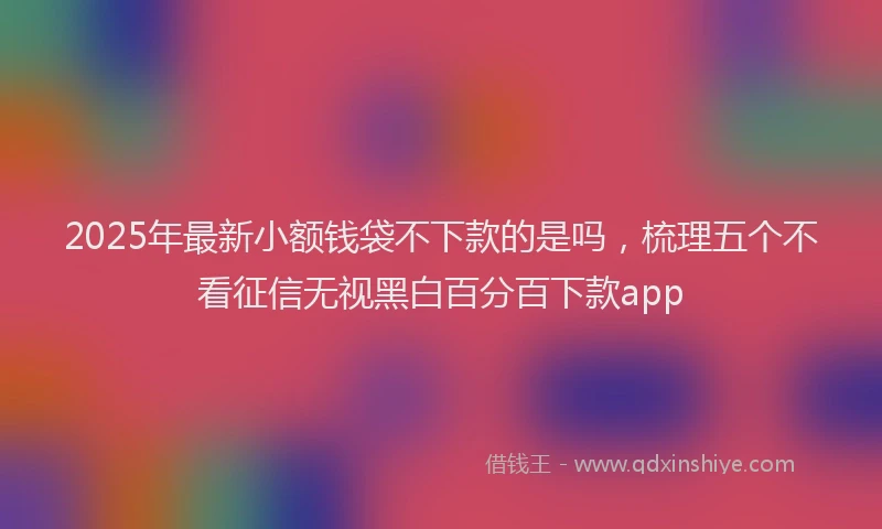 2025年最新小额钱袋不下款的是吗，梳理五个不看征信无视黑白百分百下款app