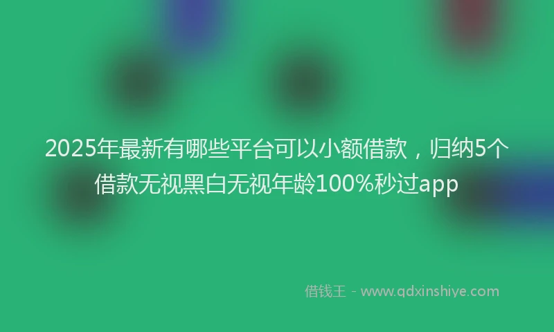 2025年最新有哪些平台可以小额借款，归纳5个借款无视黑白无视年龄100%秒过app