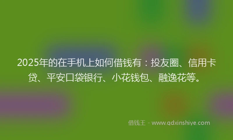 2025年的在手机上如何借钱有：投友圈、信用卡贷、平安口袋银行、小花钱包、融逸花等。