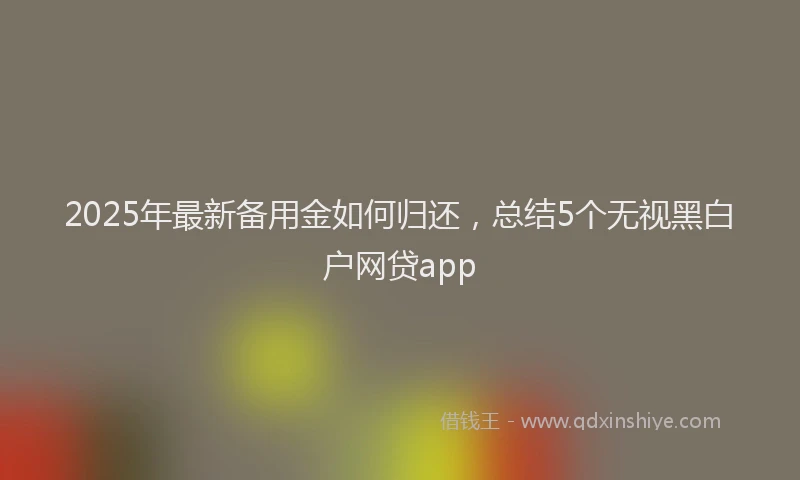 2025年最新备用金如何归还，总结5个无视黑白户网贷app