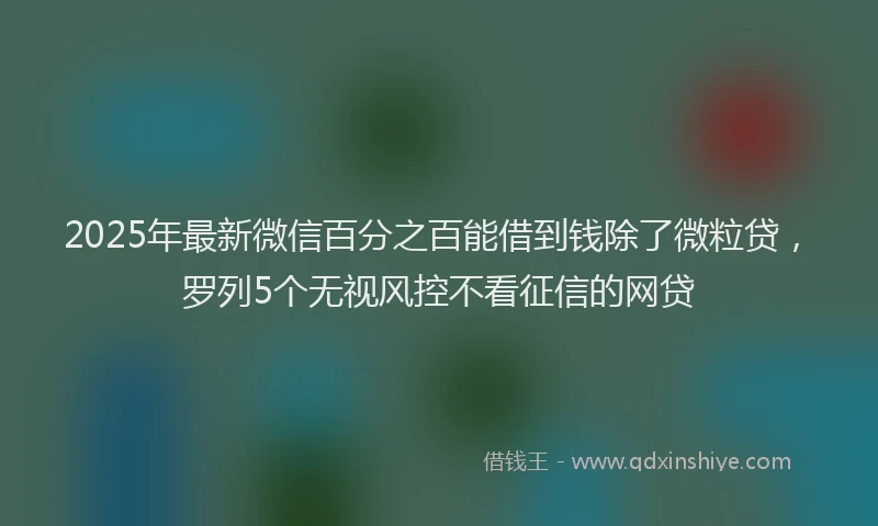 2025年最新微信百分之百能借到钱除了微粒贷，罗列5个无视风控不看征信的网贷