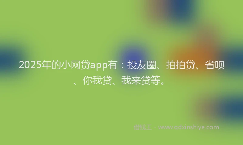 2025年的小网贷app有：投友圈、拍拍贷、省呗、你我贷、我来贷等。