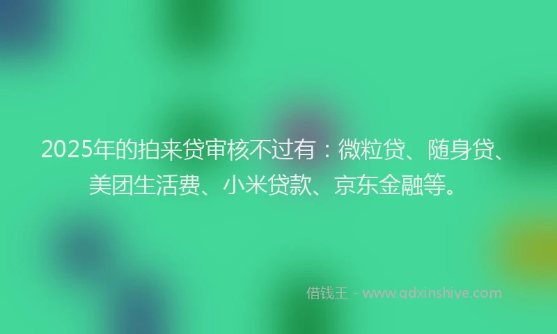 2025年的拍来贷审核不过有：微粒贷、随身贷、美团生活费、小米贷款、京东金融等。