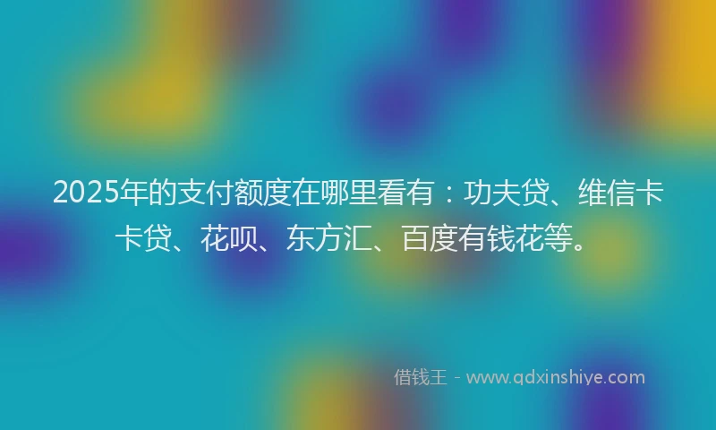 2025年的支付额度在哪里看有：功夫贷、维信卡卡贷、花呗、东方汇、百度有钱花等。