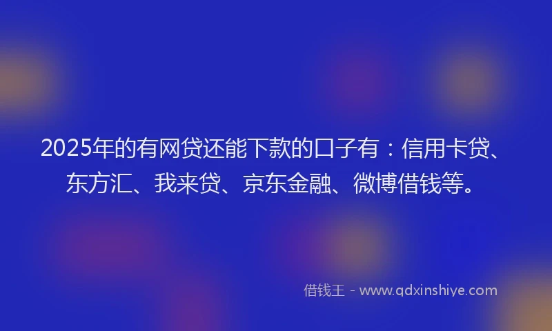 2025年的有网贷还能下款的口子有：信用卡贷、东方汇、我来贷、京东金融、微博借钱等。