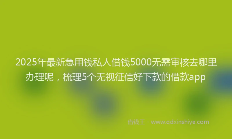 2025年最新急用钱私人借钱5000无需审核去哪里办理呢，梳理5个无视征信好下款的借款app
