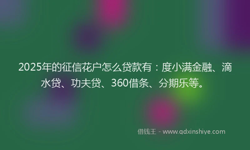 2025年的征信花户怎么贷款有：度小满金融、滴水贷、功夫贷、360借条、分期乐等。