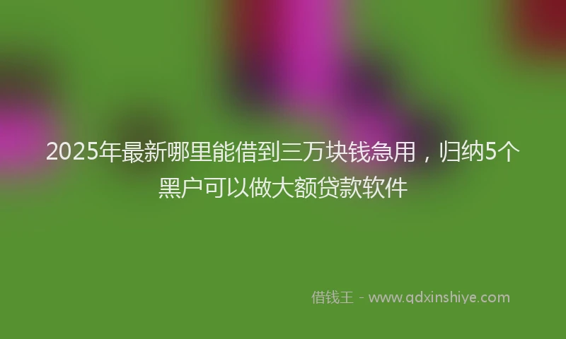 2025年最新哪里能借到三万块钱急用，归纳5个黑户可以做大额贷款软件