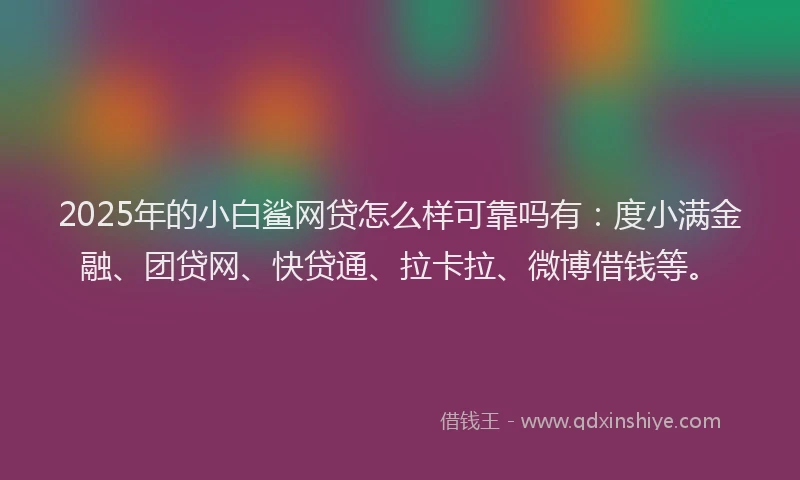 2025年的小白鲨网贷怎么样可靠吗有：度小满金融、团贷网、快贷通、拉卡拉、微博借钱等。