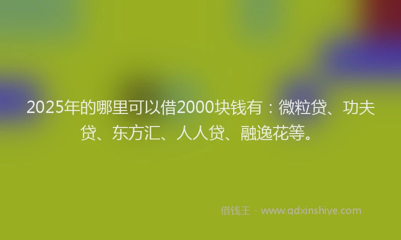2025年的哪里可以借2000块钱有：微粒贷、功夫贷、东方汇、人人贷、融逸花等。