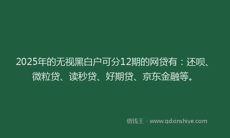 2025年的无视黑白户可分12期的网贷有：还呗、微粒贷、读秒贷、好期贷、京东金融等。