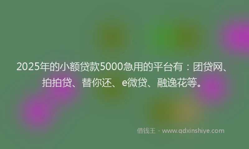 2025年的小额贷款5000急用的平台有：团贷网、拍拍贷、替你还、e微贷、融逸花等。