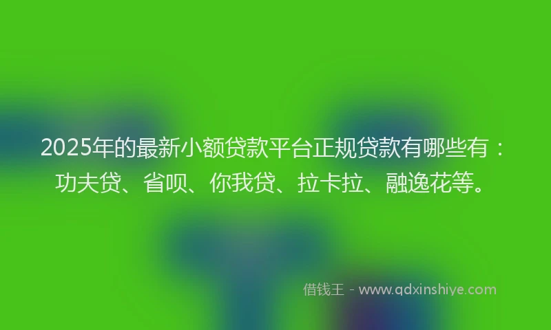 2025年的最新小额贷款平台正规贷款有哪些有：功夫贷、省呗、你我贷、拉卡拉、融逸花等。