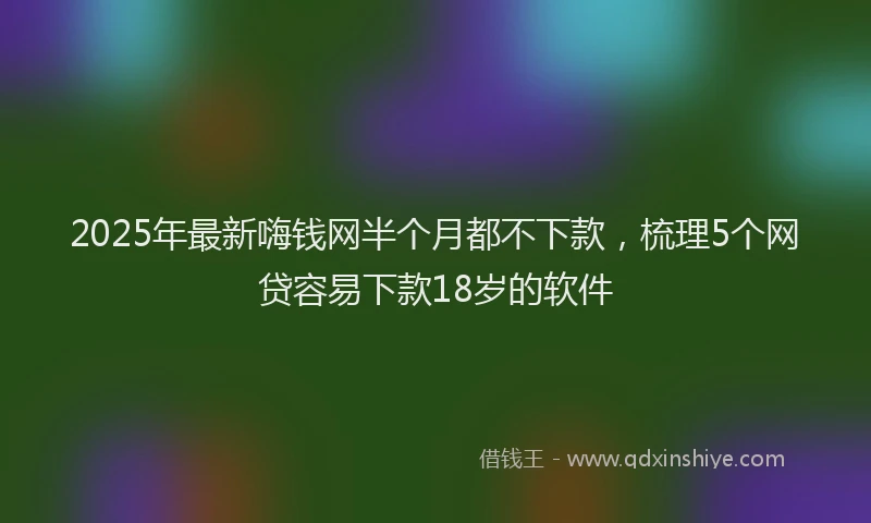 2025年最新嗨钱网半个月都不下款，梳理5个网贷容易下款18岁的软件
