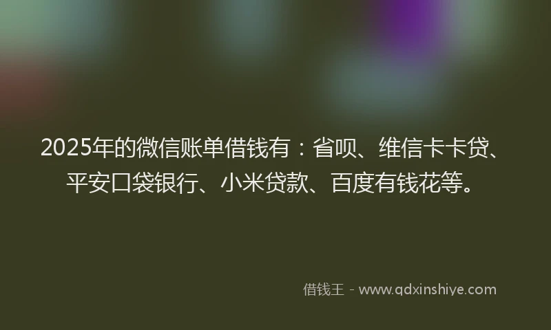 2025年的微信账单借钱有：省呗、维信卡卡贷、平安口袋银行、小米贷款、百度有钱花等。