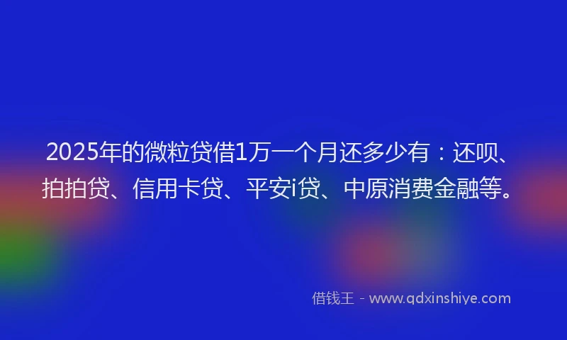 2025年的微粒贷借1万一个月还多少有：还呗、拍拍贷、信用卡贷、平安i贷、中原消费金融等。