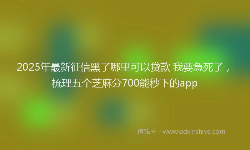 2025年最新征信黑了哪里可以贷款 我要急死了，梳理五个芝麻分700能秒下的app