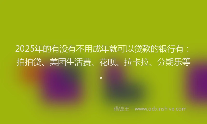 2025年的有没有不用成年就可以贷款的银行有：拍拍贷、美团生活费、花呗、拉卡拉、分期乐等。