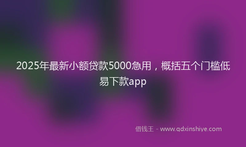 2025年最新小额贷款5000急用，概括五个门槛低易下款app