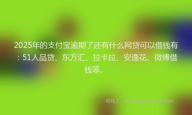 2025年的支付宝逾期了还有什么网贷可以借钱有：51人品贷、东方汇、拉卡拉、安逸花、微博借钱等。