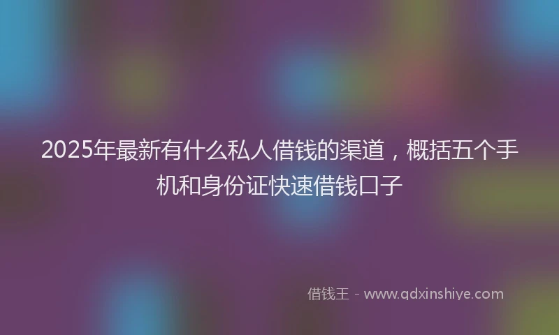 2025年最新有什么私人借钱的渠道，概括五个手机和身份证快速借钱口子