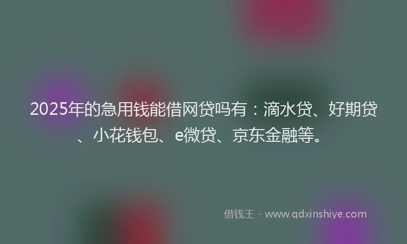 2025年的急用钱能借网贷吗有：滴水贷、好期贷、小花钱包、e微贷、京东金融等。