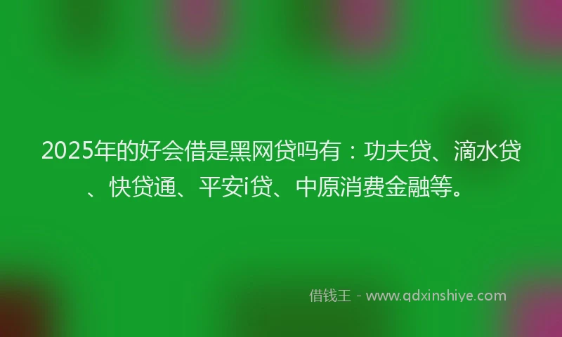 2025年的好会借是黑网贷吗有：功夫贷、滴水贷、快贷通、平安i贷、中原消费金融等。