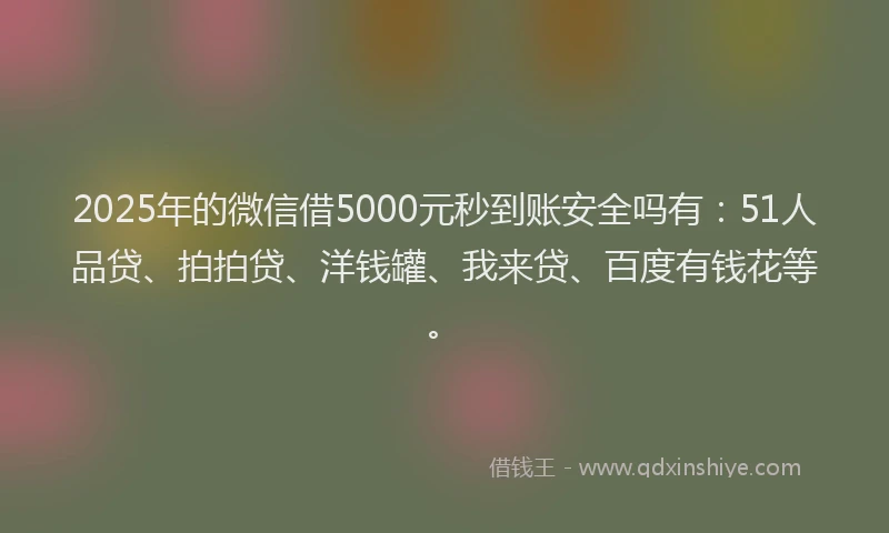 2025年的微信借5000元秒到账安全吗有：51人品贷、拍拍贷、洋钱罐、我来贷、百度有钱花等。