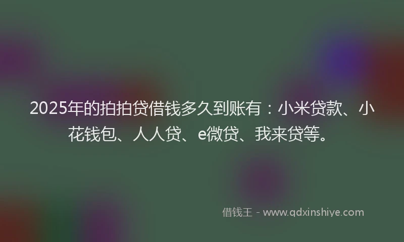 2025年的拍拍贷借钱多久到账有：小米贷款、小花钱包、人人贷、e微贷、我来贷等。