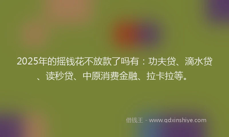 2025年的摇钱花不放款了吗有：功夫贷、滴水贷、读秒贷、中原消费金融、拉卡拉等。