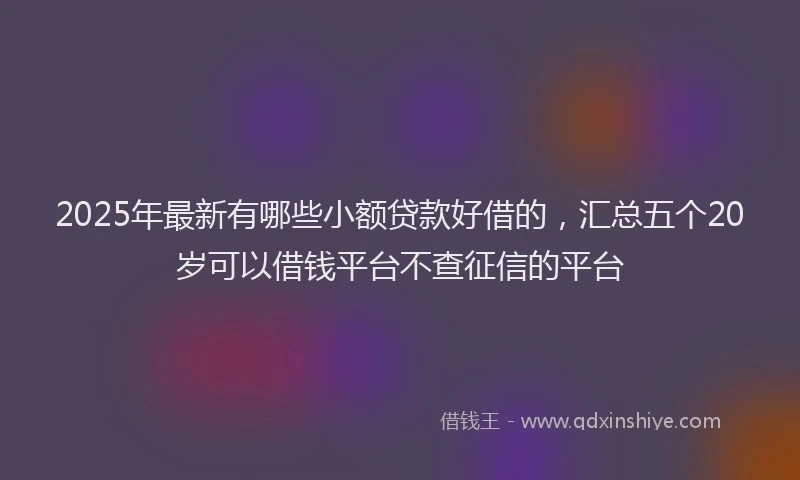 2025年最新有哪些小额贷款好借的，汇总五个20岁可以借钱平台不查征信的平台