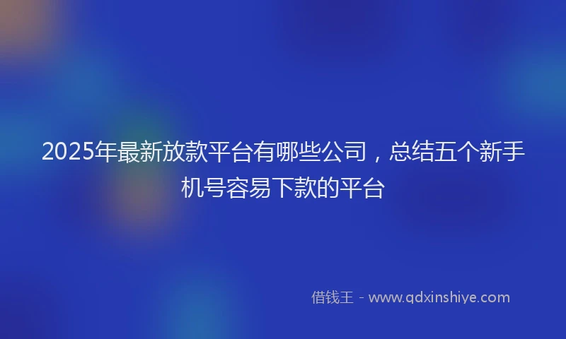 2025年最新放款平台有哪些公司，总结五个新手机号容易下款的平台