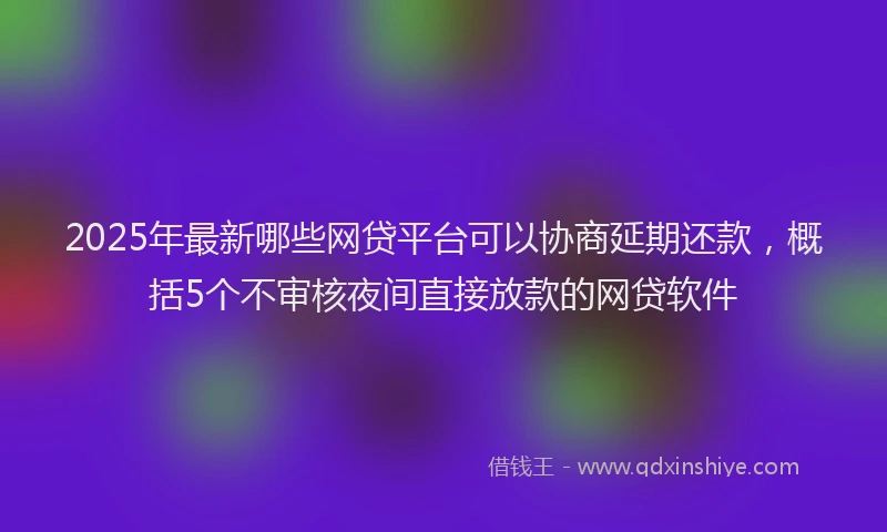 2025年最新哪些网贷平台可以协商延期还款，概括5个不审核夜间直接放款的网贷软件