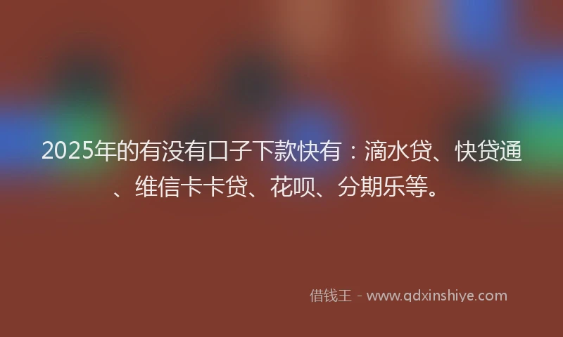 2025年的有没有口子下款快有：滴水贷、快贷通、维信卡卡贷、花呗、分期乐等。