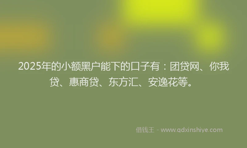 2025年的小额黑户能下的口子有：团贷网、你我贷、惠商贷、东方汇、安逸花等。