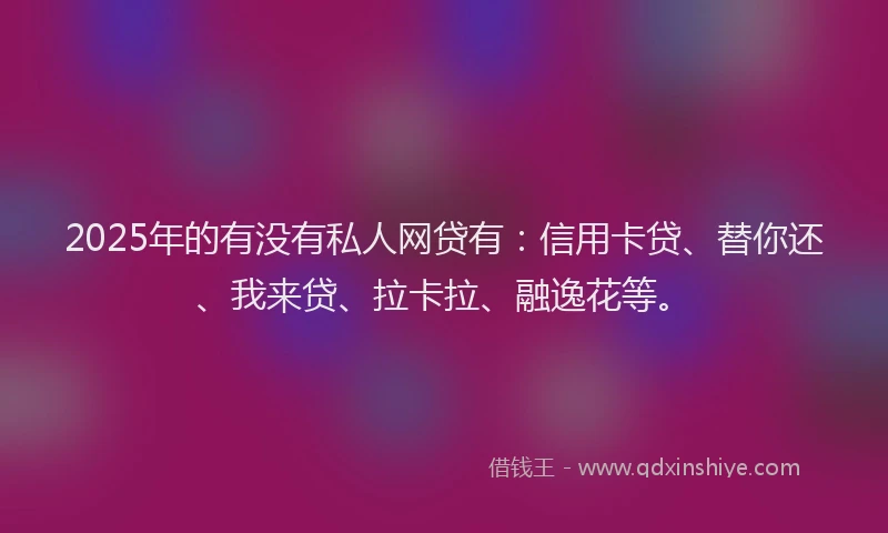 2025年的有没有私人网贷有：信用卡贷、替你还、我来贷、拉卡拉、融逸花等。