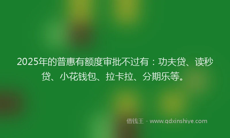 2025年的普惠有额度审批不过有：功夫贷、读秒贷、小花钱包、拉卡拉、分期乐等。