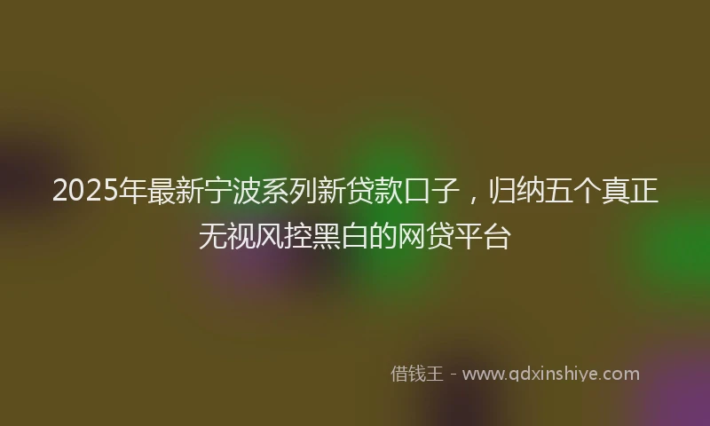 2025年最新宁波系列新贷款口子，归纳五个真正无视风控黑白的网贷平台