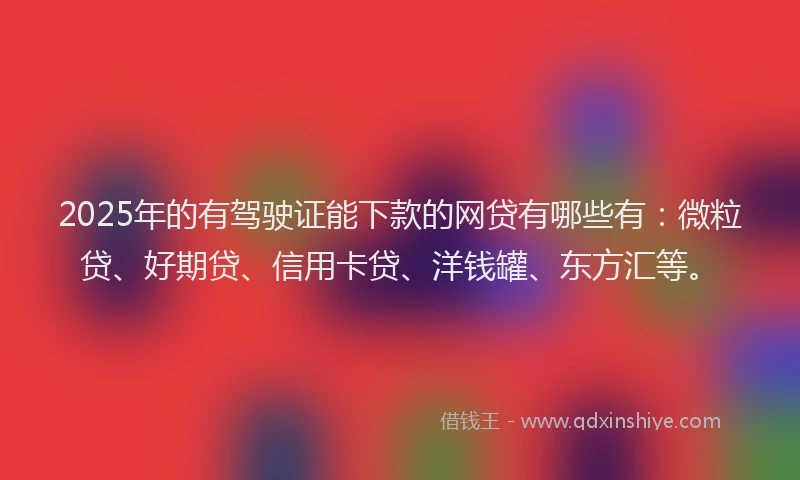 2025年的有驾驶证能下款的网贷有哪些有：微粒贷、好期贷、信用卡贷、洋钱罐、东方汇等。