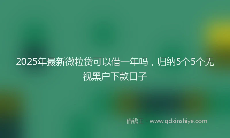 2025年最新微粒贷可以借一年吗，归纳5个5个无视黑户下款口子