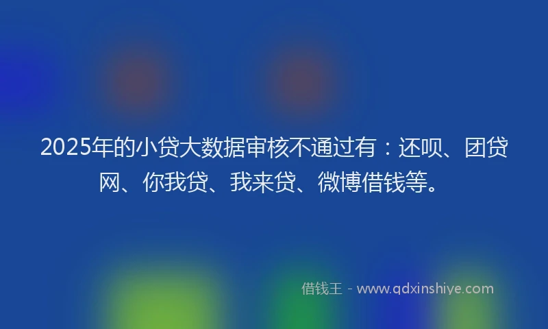 2025年的小贷大数据审核不通过有：还呗、团贷网、你我贷、我来贷、微博借钱等。