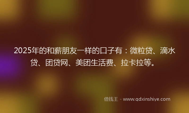 2025年的和薪朋友一样的口子有：微粒贷、滴水贷、团贷网、美团生活费、拉卡拉等。