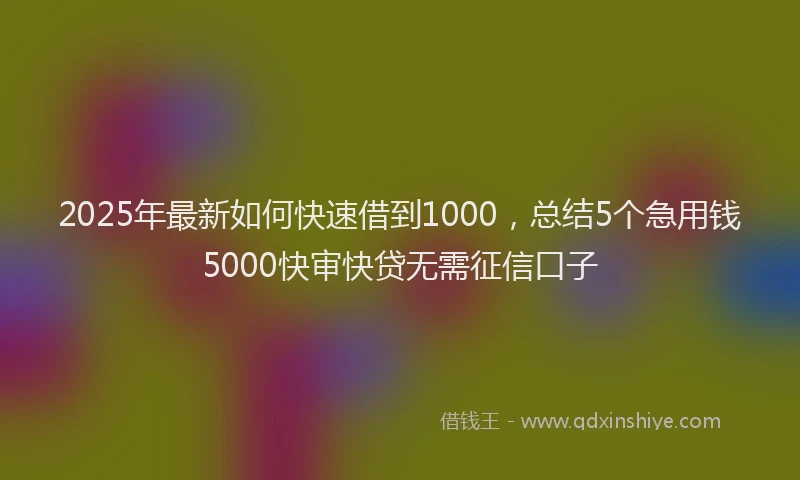 2025年最新如何快速借到1000，总结5个急用钱5000快审快贷无需征信口子