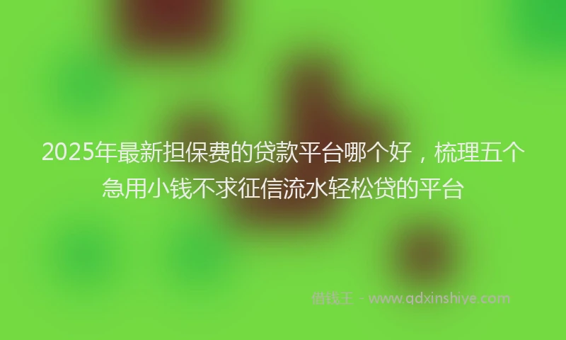 2025年最新担保费的贷款平台哪个好，梳理五个急用小钱不求征信流水轻松贷的平台