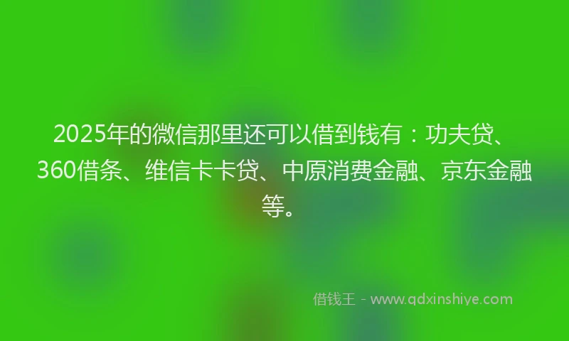 2025年的微信那里还可以借到钱有：功夫贷、360借条、维信卡卡贷、中原消费金融、京东金融等。
