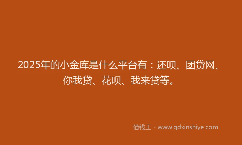 2025年的小金库是什么平台有：还呗、团贷网、你我贷、花呗、我来贷等。