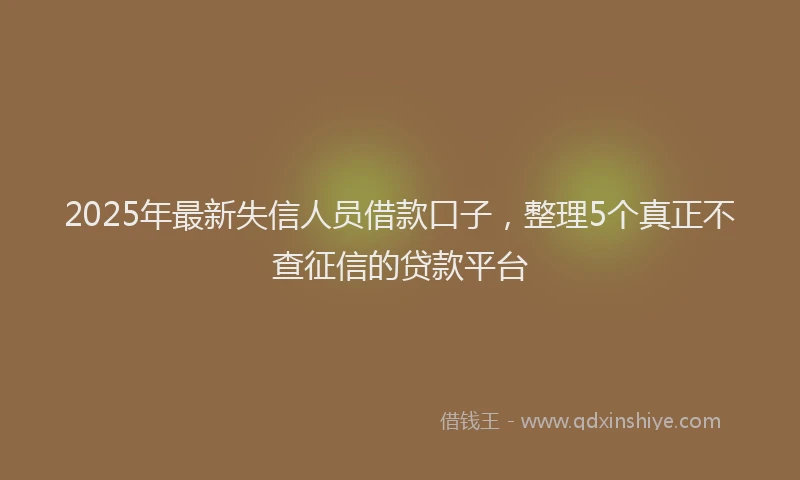 2025年最新失信人员借款口子，整理5个真正不查征信的贷款平台
