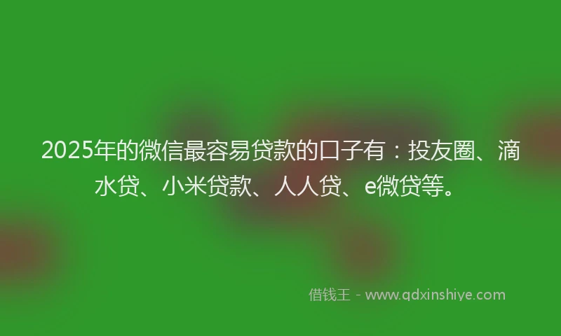 2025年的微信最容易贷款的口子有：投友圈、滴水贷、小米贷款、人人贷、e微贷等。